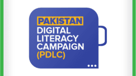 Group of 2 Objects (31)